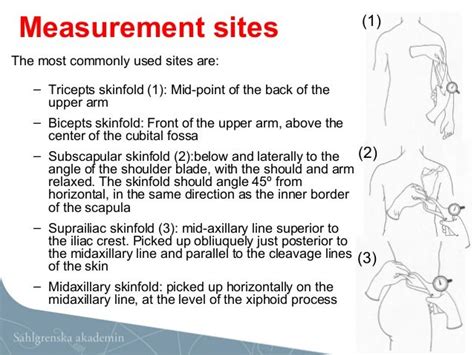 the most common site used for obtaining skinfold thickness measurements|skin fold measurement sites.